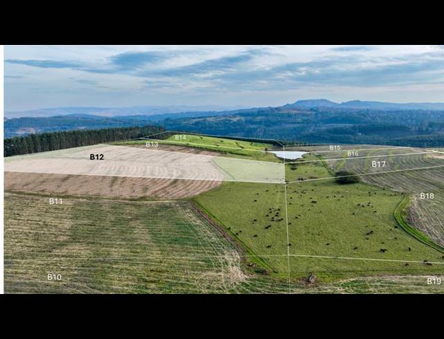 LAND FOR SALE IN MOUNT VERDE